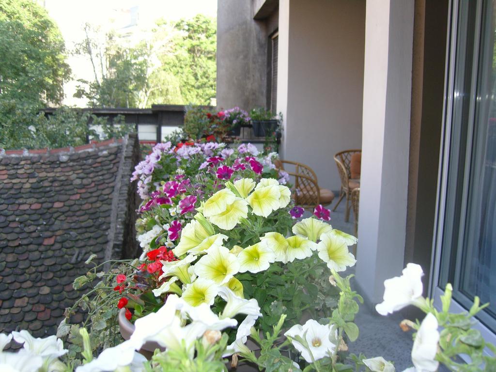 Apartment Deligradska เบลเกรด ภายนอก รูปภาพ
